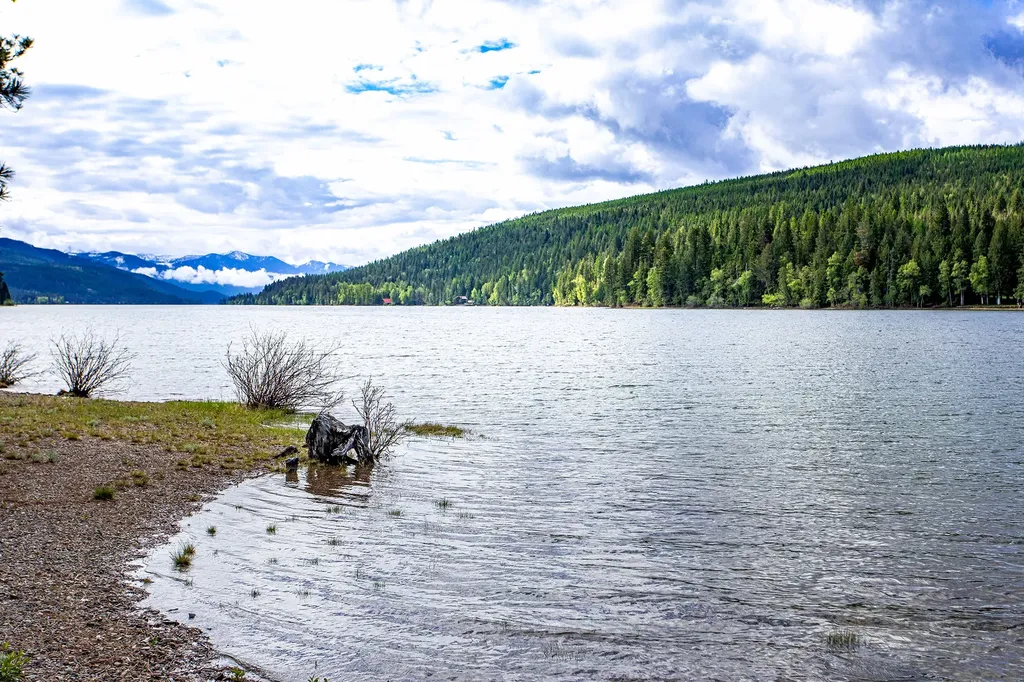 595 Wapiti Lane Bigfork MT 59911