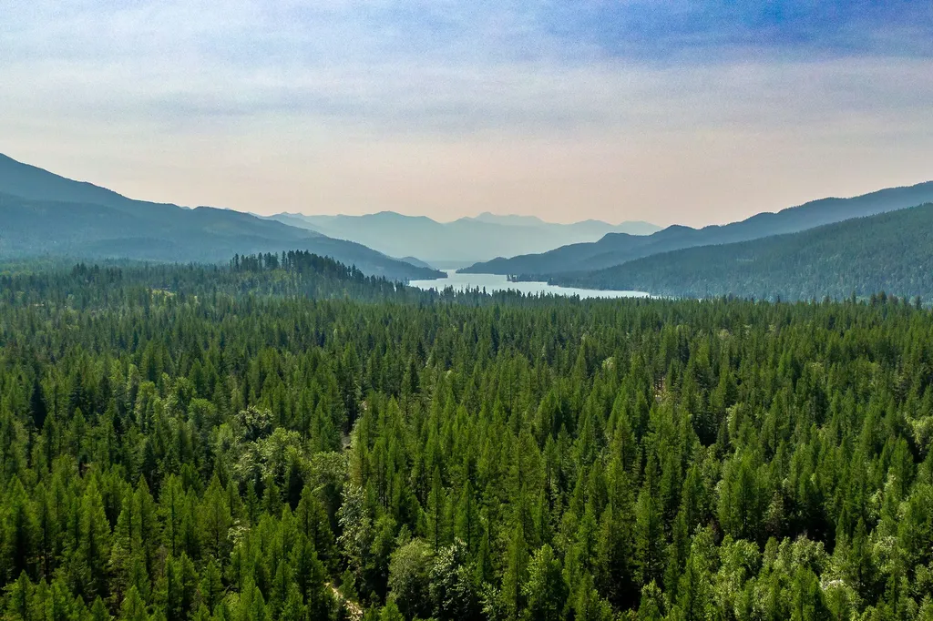 595 Wapiti Lane Bigfork MT 59911