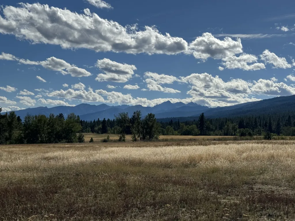 257 N Gold Creek Loop Hamilton MT 59840