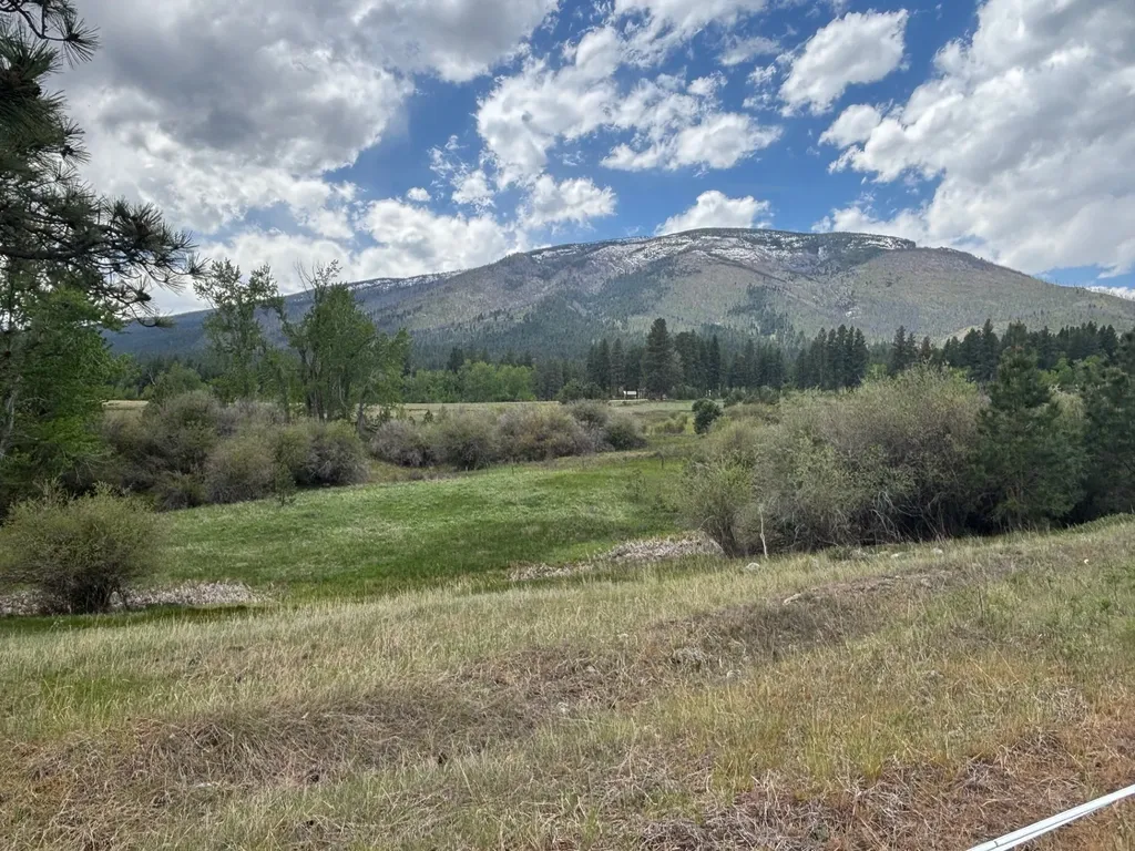 257 N Gold Creek Loop Hamilton MT 59840