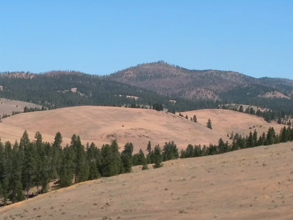 Nhn Granite Creek Road Florence MT 59833