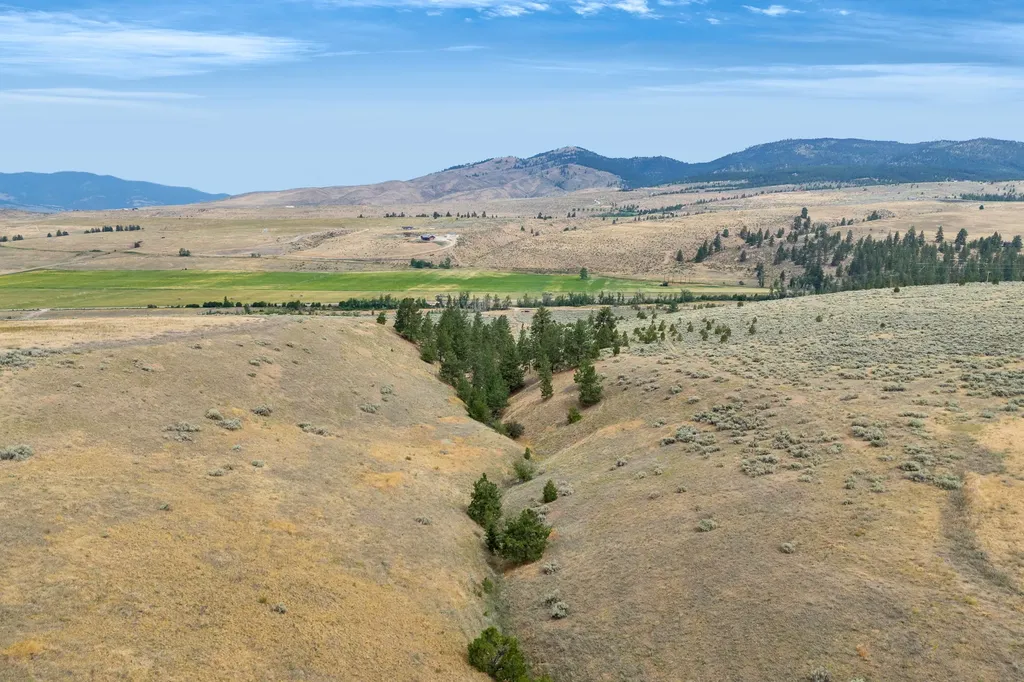 Nhn Granite Creek Road Florence MT 59833