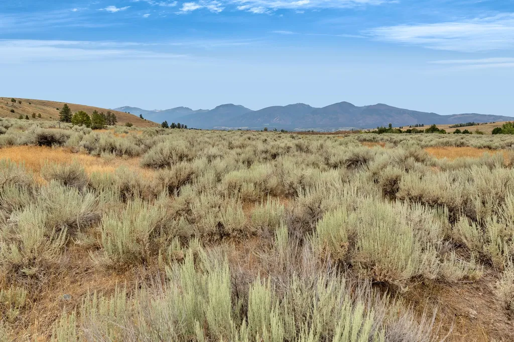 Nhn Granite Creek Road Florence MT 59833