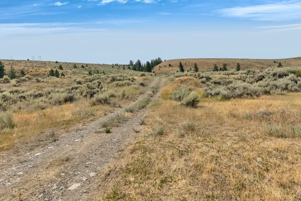 Nhn Granite Creek Road Florence MT 59833