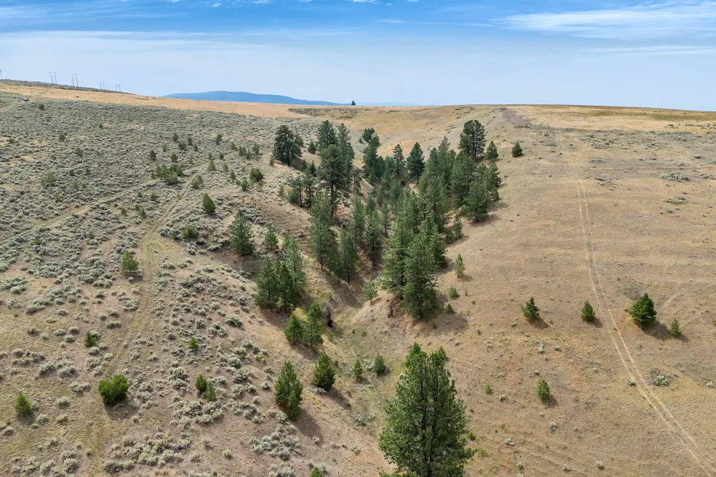 Nhn Granite Creek Road Florence MT 59833