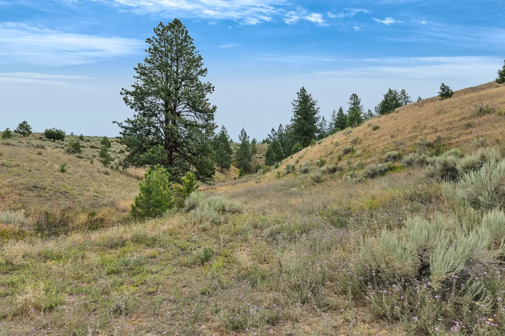 Nhn Granite Creek Road Florence MT 59833