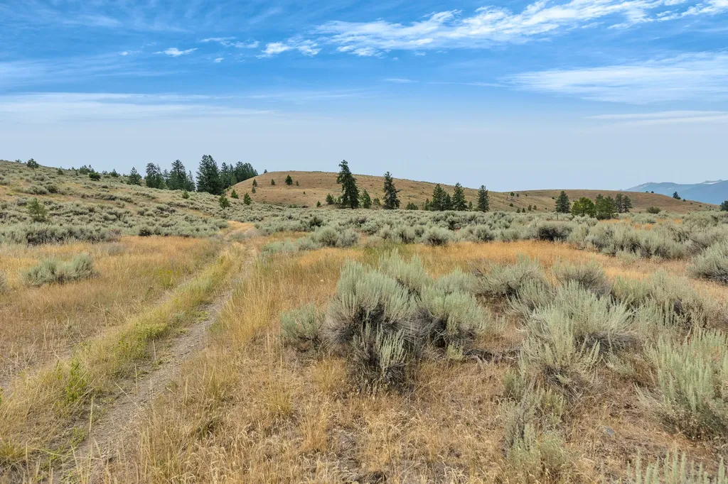 Nhn Granite Creek Road Florence MT 59833
