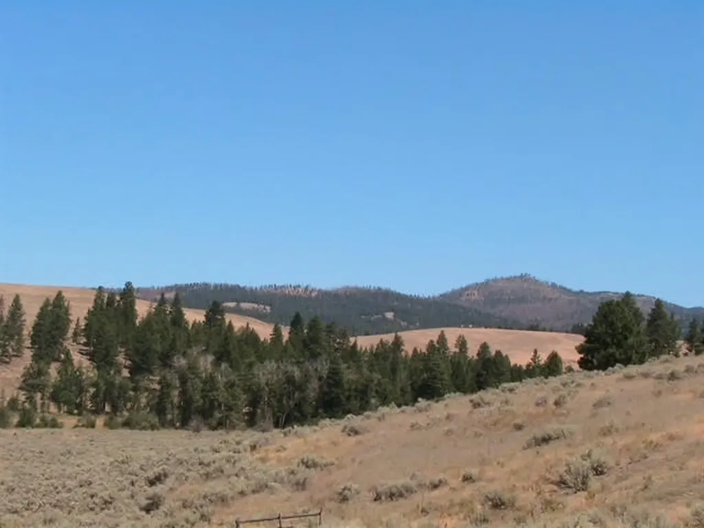 Nhn Granite Creek Road Florence MT 59833