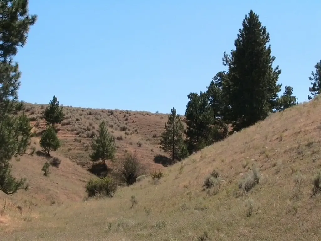 Nhn Granite Creek Road Florence MT 59833