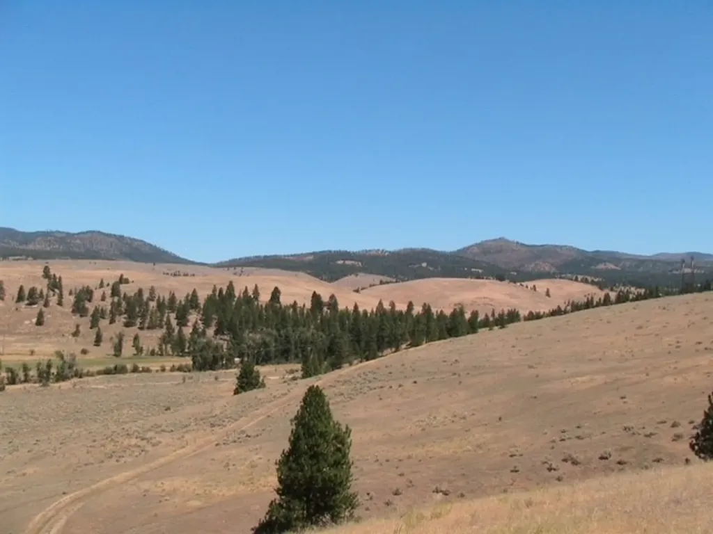 Nhn Granite Creek Road Florence MT 59833