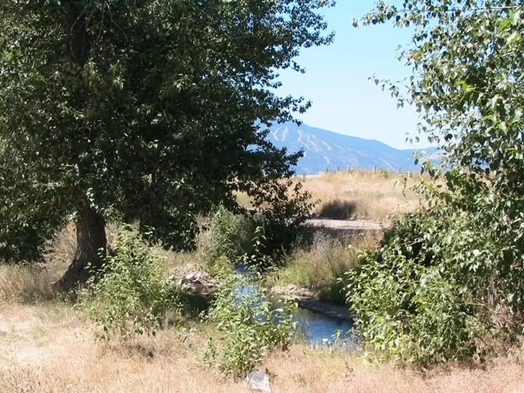 Nhn Granite Creek Road Florence MT 59833