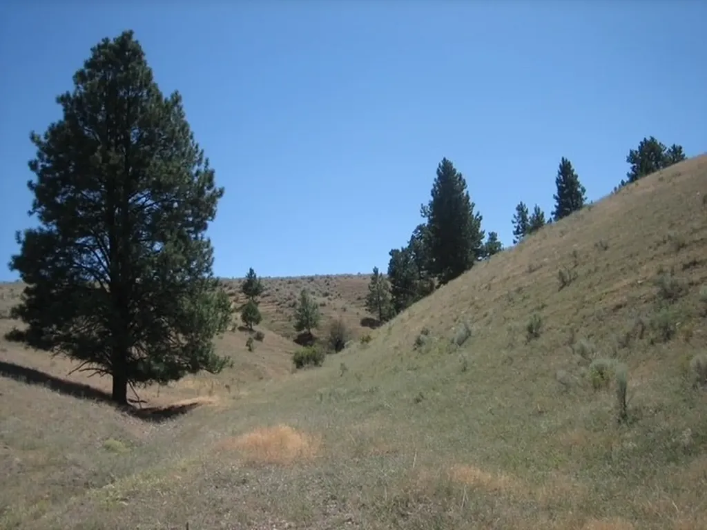 Nhn Granite Creek Road Florence MT 59833
