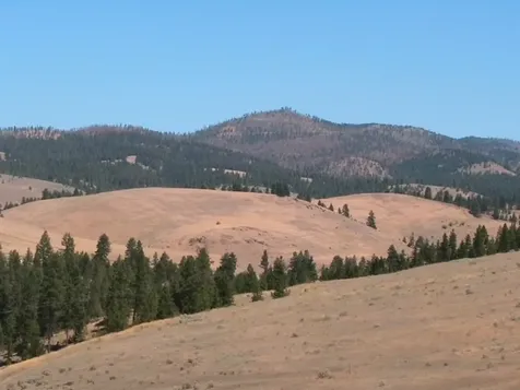 Nhn Granite Creek Road Florence MT 59833