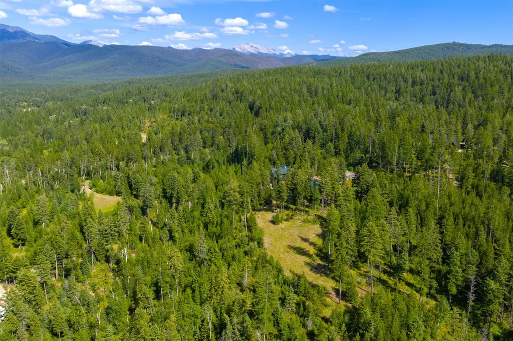 386 Glacier Hills Drive W Martin City MT 59926