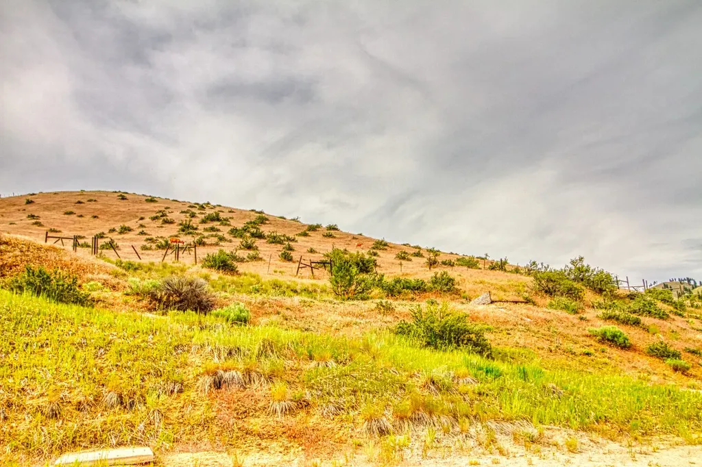 4310 Dugout Gulch Road Darby MT 59829