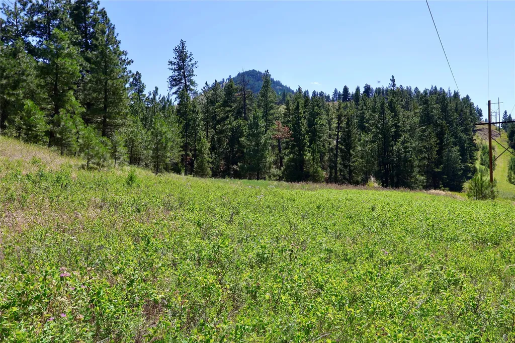 Lot 49 Cooper Valley Estates Cascade MT 59421
