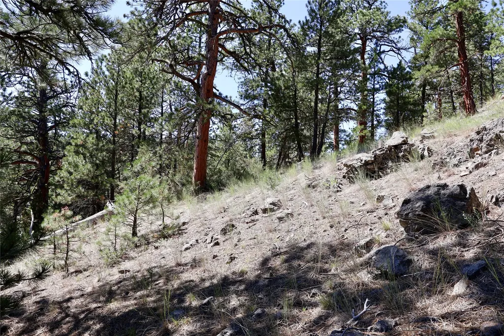 Lot 49 Cooper Valley Estates Cascade MT 59421