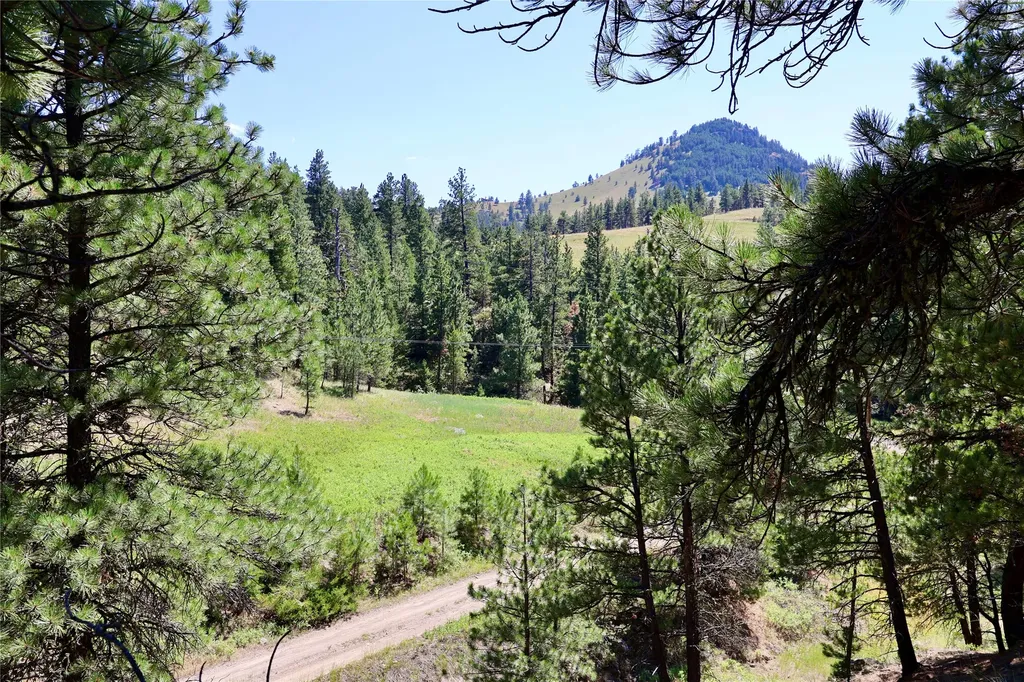 Lot 49 Cooper Valley Estates Cascade MT 59421
