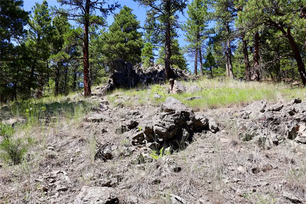 Lot 49 Cooper Valley Estates Cascade MT 59421