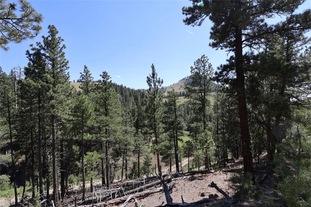 Lot 49 Cooper Valley Estates Cascade MT 59421