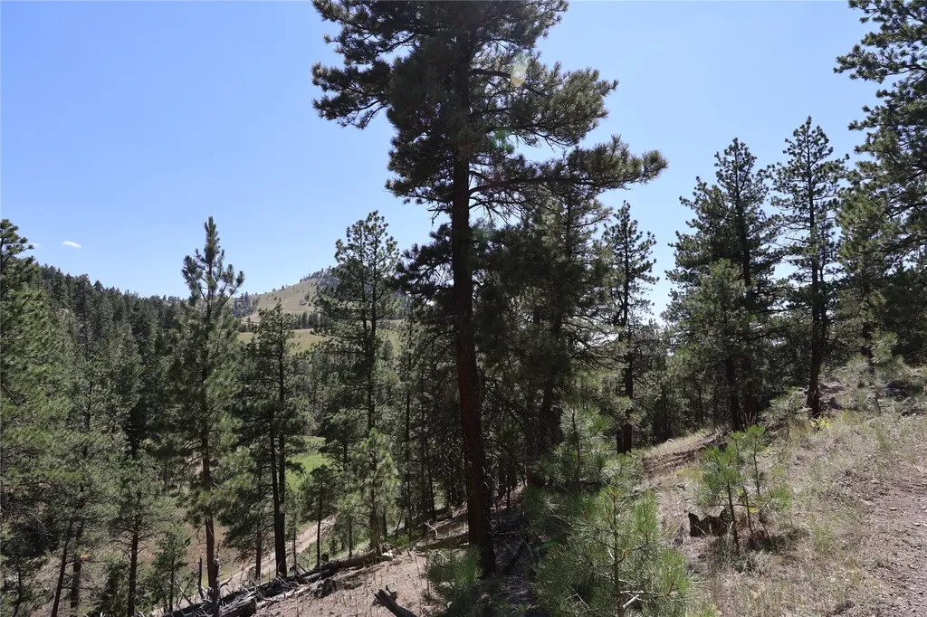 Lot 49 Cooper Valley Estates Cascade MT 59421