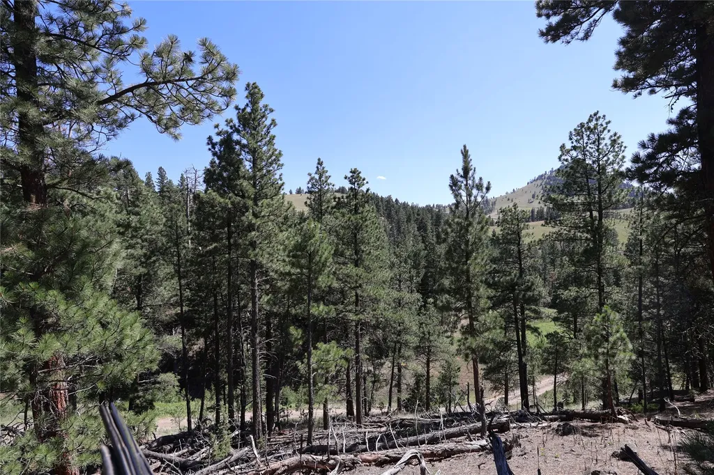 Lot 49 Cooper Valley Estates Cascade MT 59421