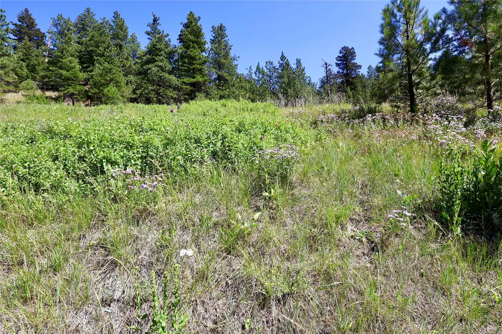Lot 49 Cooper Valley Estates Cascade MT 59421