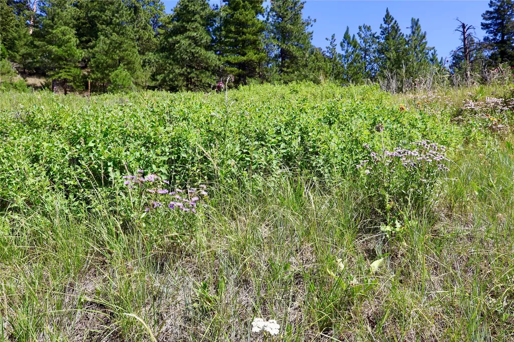 Lot 49 Cooper Valley Estates Cascade MT 59421
