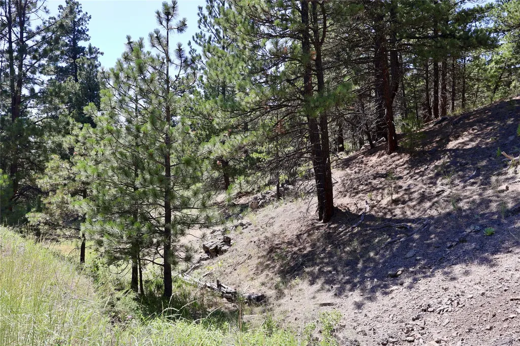 Lot 49 Cooper Valley Estates Cascade MT 59421