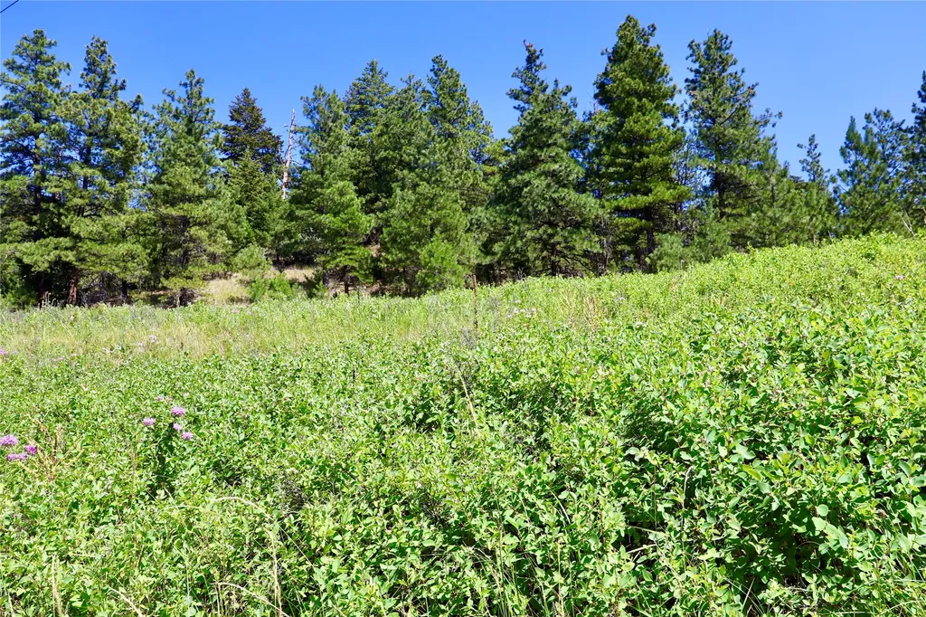 Lot 49 Cooper Valley Estates Cascade MT 59421