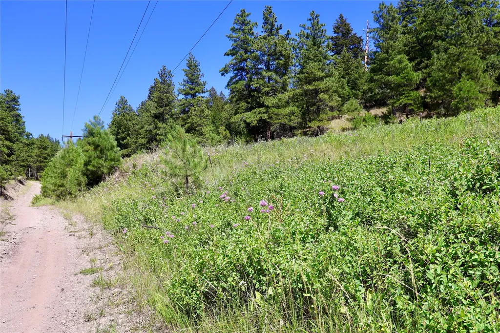 Lot 49 Cooper Valley Estates Cascade MT 59421