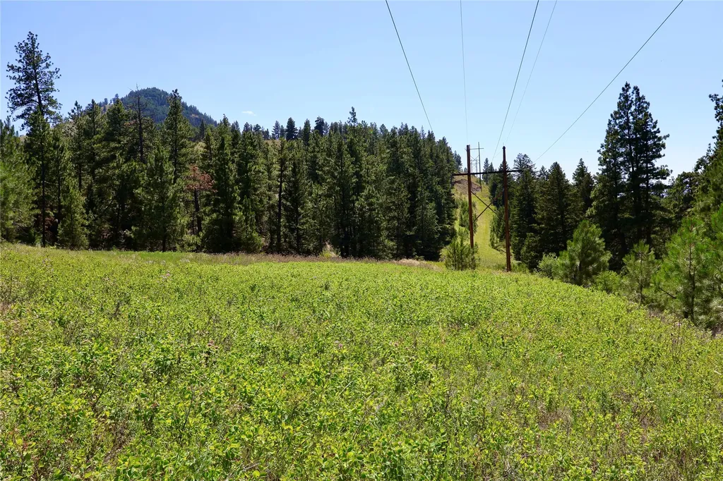Lot 49 Cooper Valley Estates Cascade MT 59421