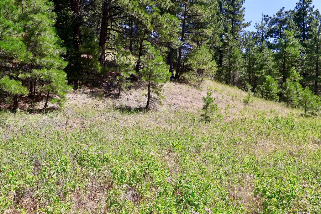 Lot 49 Cooper Valley Estates Cascade MT 59421
