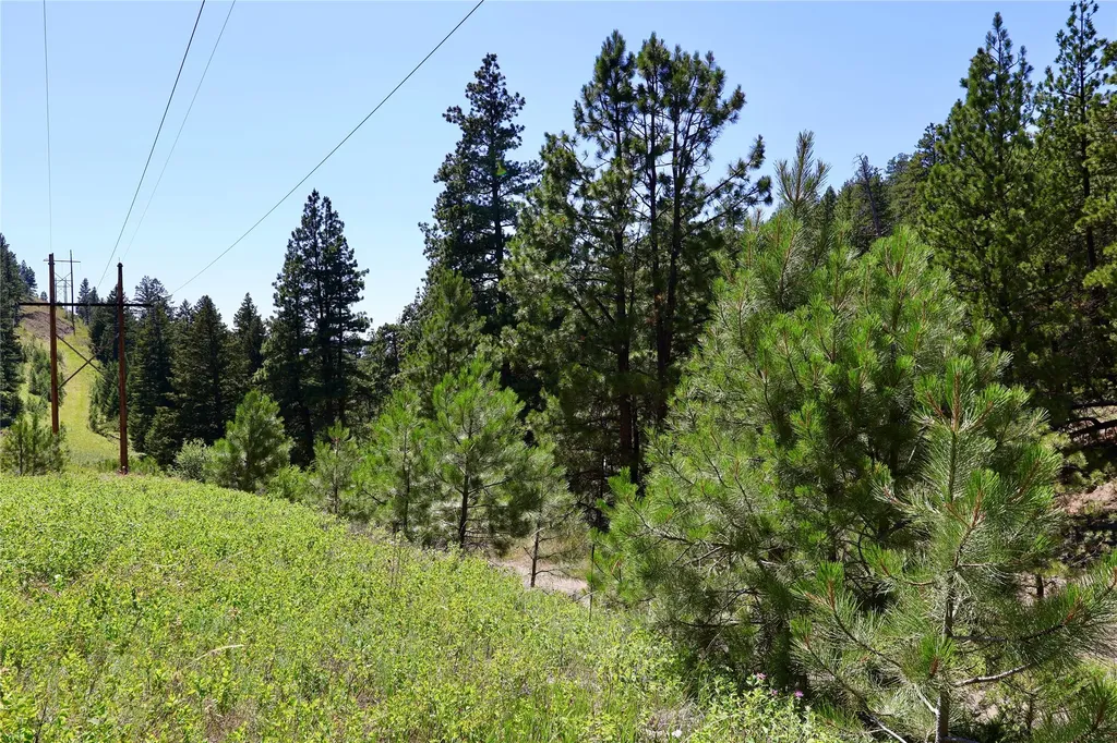 Lot 49 Cooper Valley Estates Cascade MT 59421