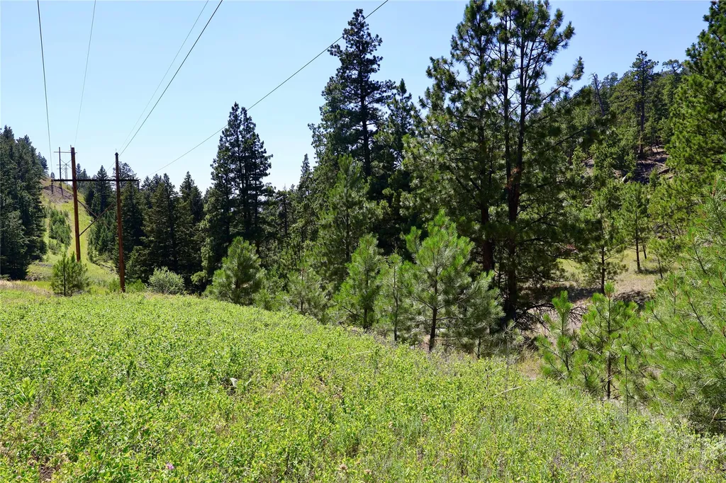 Lot 49 Cooper Valley Estates Cascade MT 59421