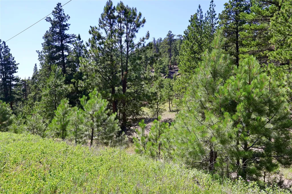 Lot 49 Cooper Valley Estates Cascade MT 59421