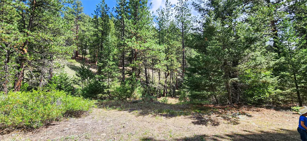 Nhn Upper Sawmill Creek Lane Cascade MT 59421