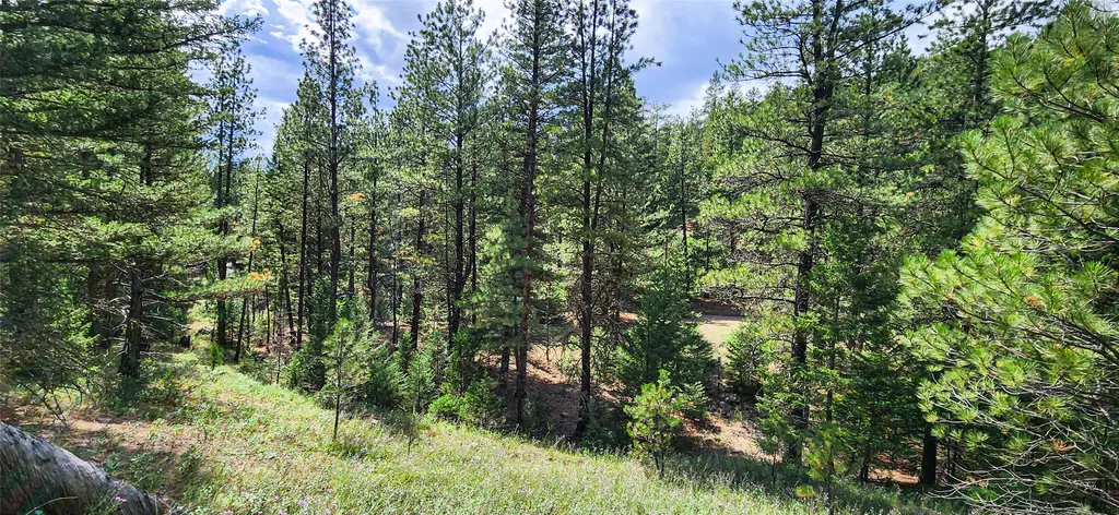 Nhn Upper Sawmill Creek Lane Cascade MT 59421