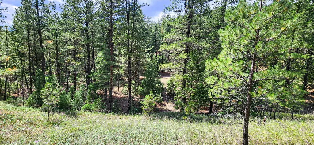 Nhn Upper Sawmill Creek Lane Cascade MT 59421
