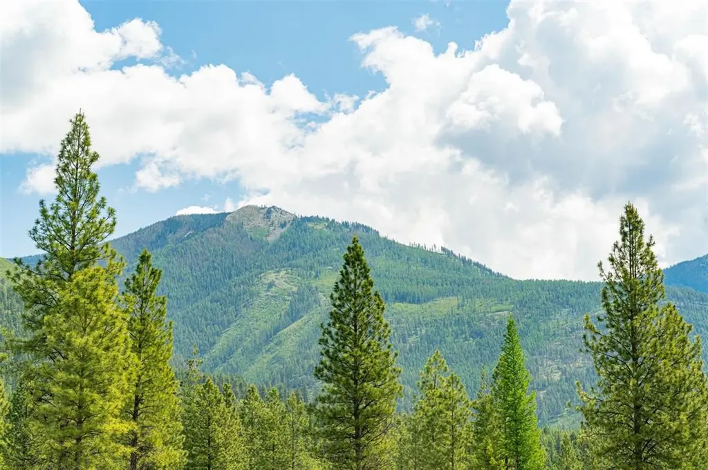 Tbd Lakota Loop Troy MT 59935
