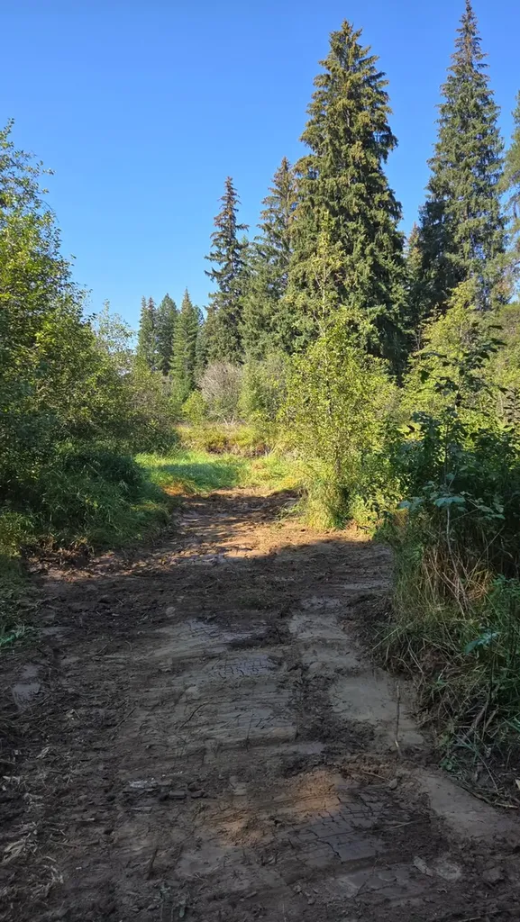 Tbd Lakota Loop Troy MT 59935