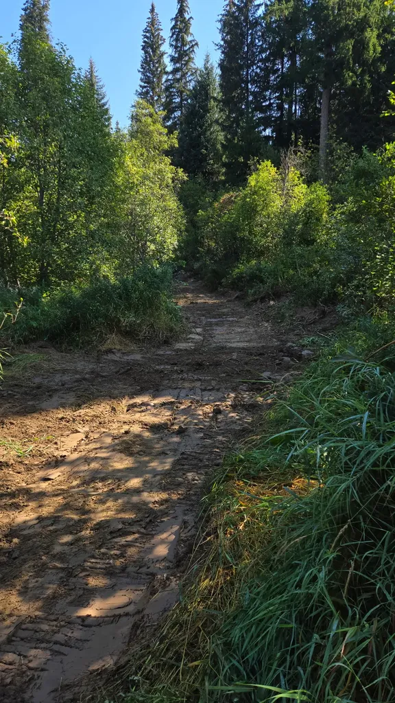 Tbd Lakota Loop Troy MT 59935