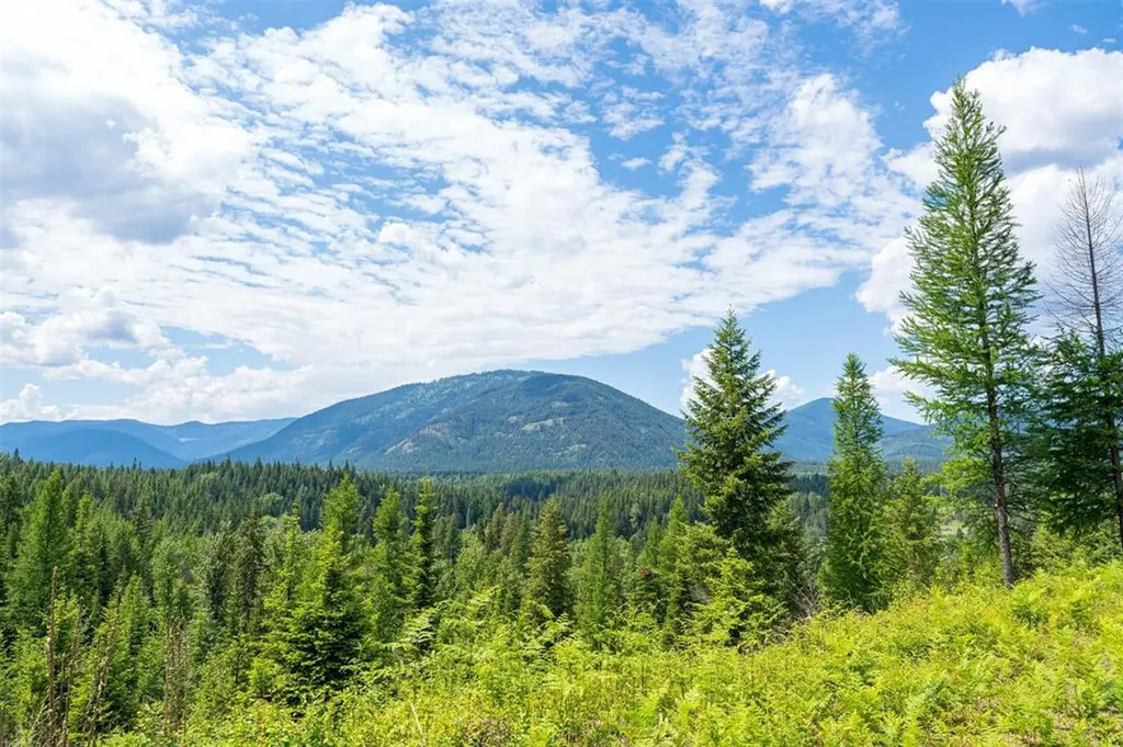 Tbd Lakota Loop Troy MT 59935