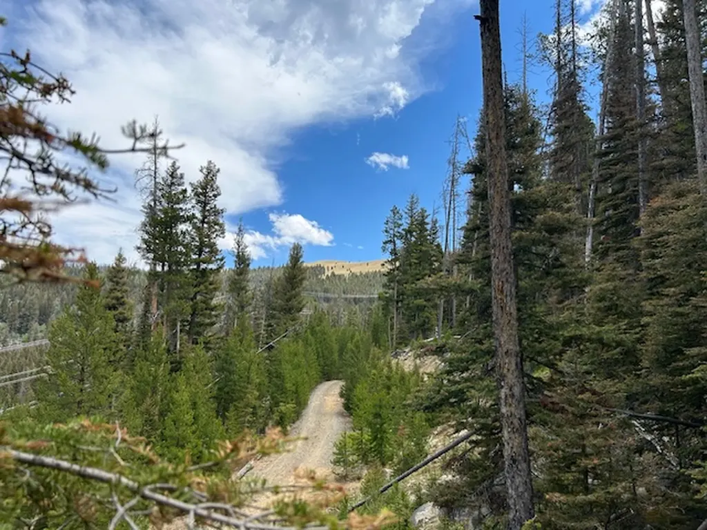 269 Boulder Chief Road Basin MT 59631