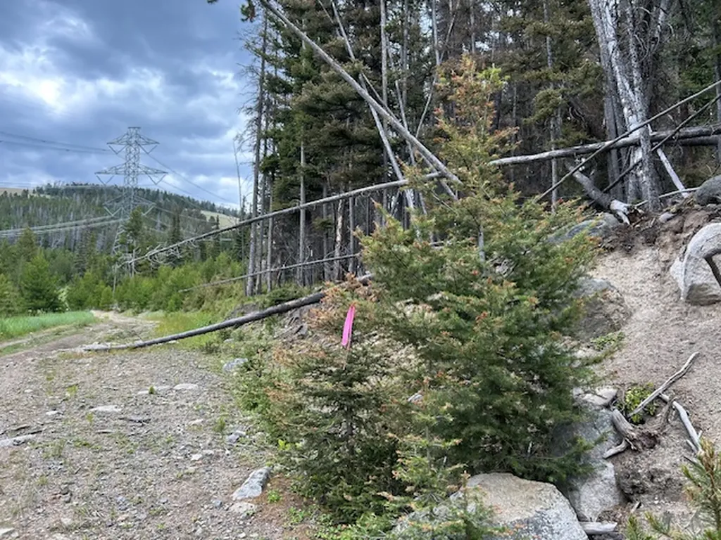 269 Boulder Chief Road Basin MT 59631