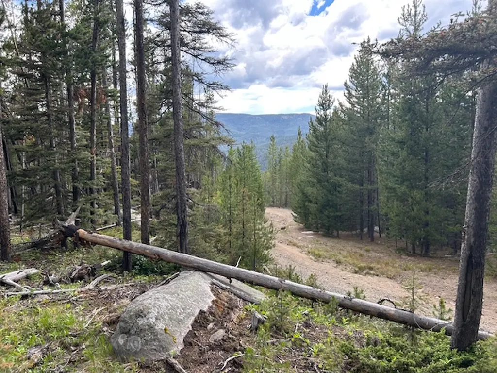269 Boulder Chief Road Basin MT 59631