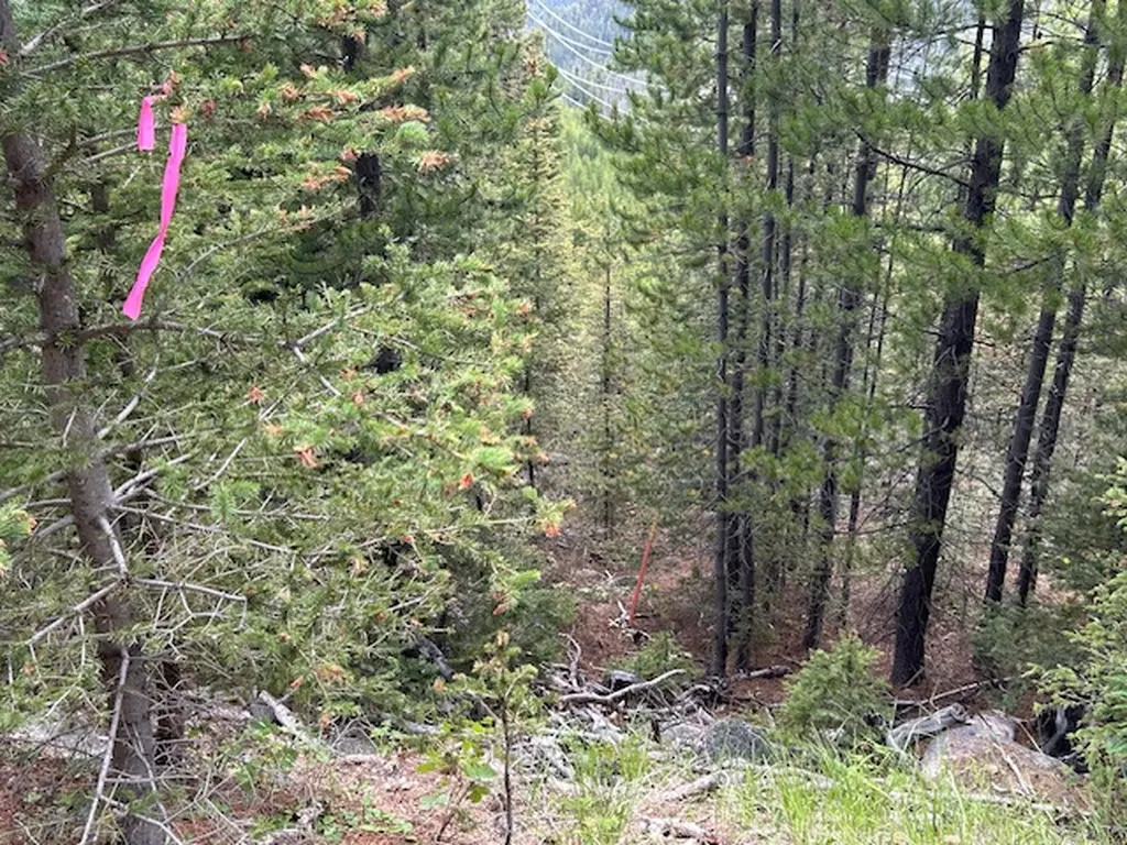 269 Boulder Chief Road Basin MT 59631