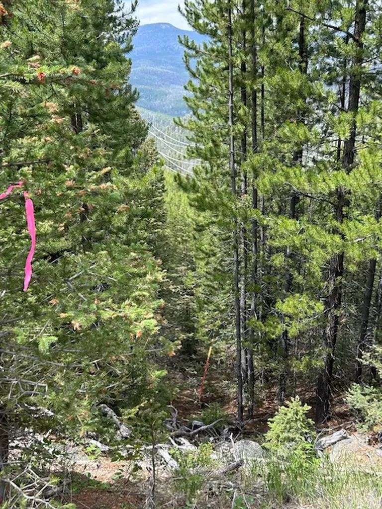 269 Boulder Chief Road Basin MT 59631