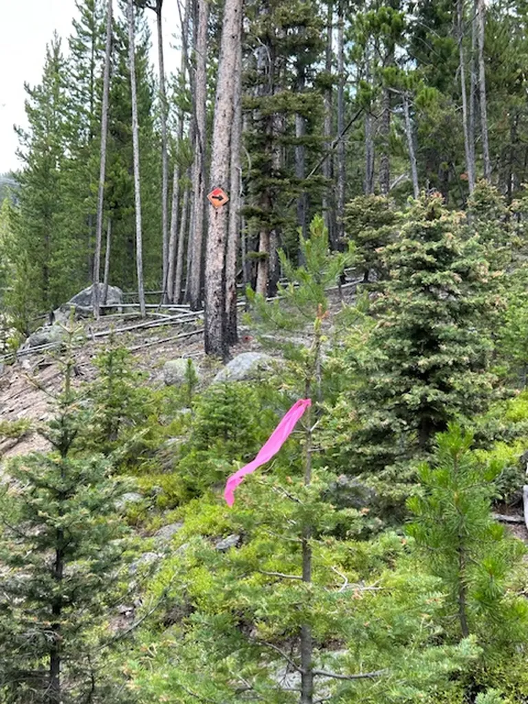269 Boulder Chief Road Basin MT 59631
