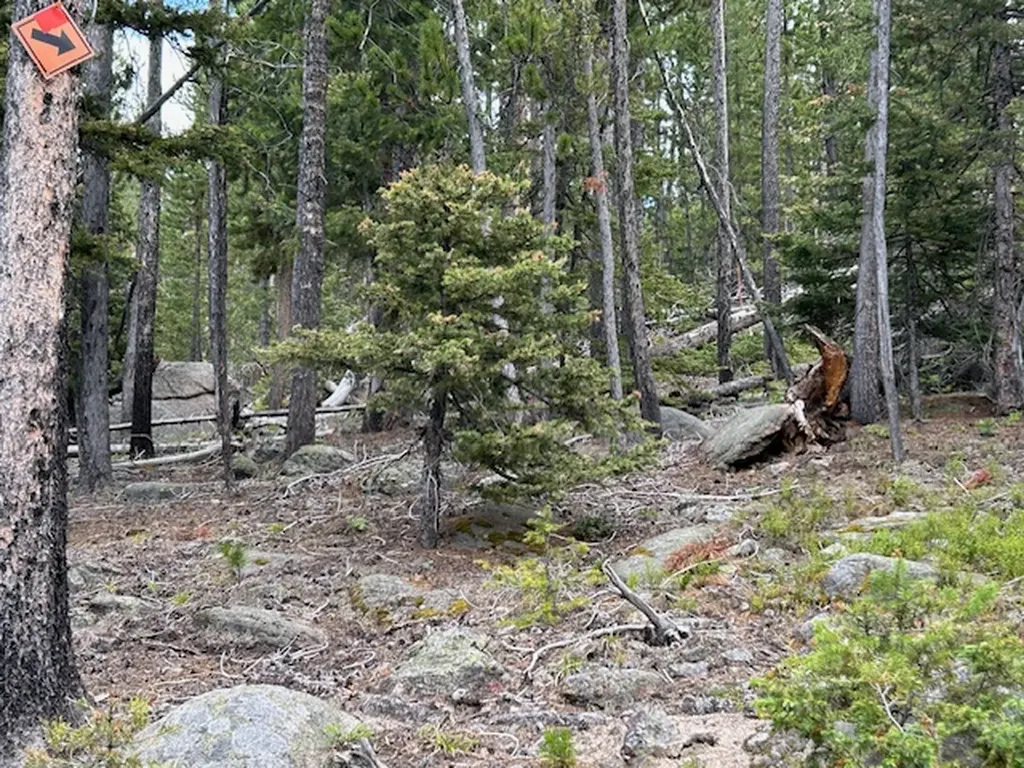269 Boulder Chief Road Basin MT 59631